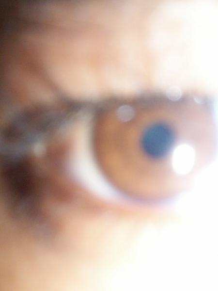 OEIL DE TIGRE